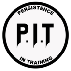 Persistence In Training